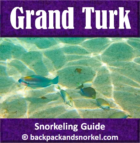Best Grand Turk snorkeling
